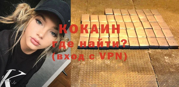 ПСИЛОЦИБИНОВЫЕ ГРИБЫ Сосновый Бор
