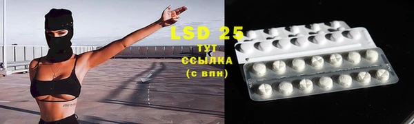 apvp Белокуриха
