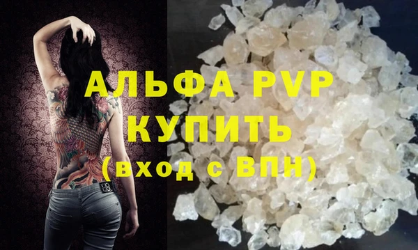 ПСИЛОЦИБИНОВЫЕ ГРИБЫ Сосновый Бор