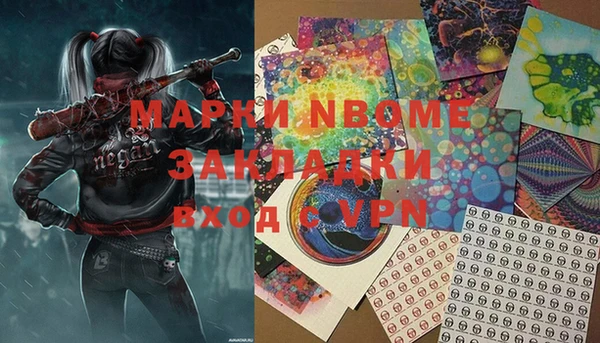 ПСИЛОЦИБИНОВЫЕ ГРИБЫ Сосновый Бор