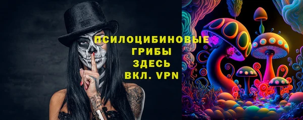 apvp Белокуриха