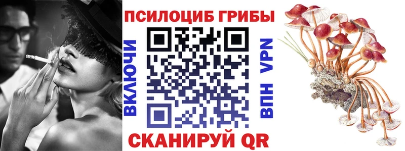 купить наркотик  Губкинский  Галлюциногенные грибы Cubensis 