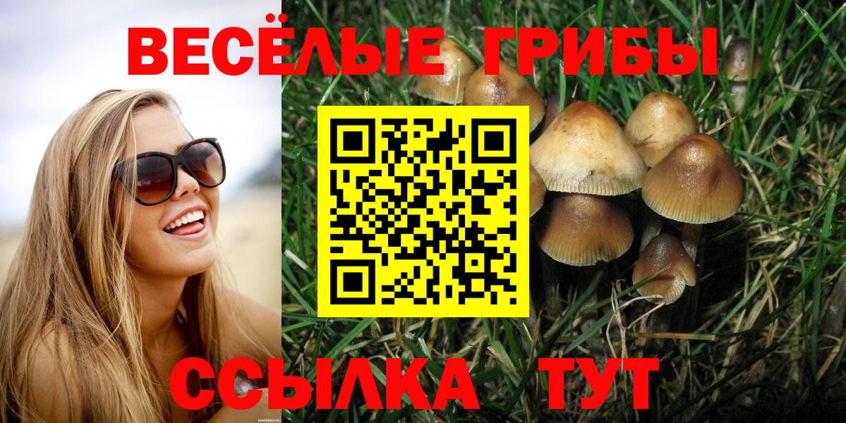 Галлюциногенные грибы Psilocybine cubensis  Вход с VPN  Галлюциногенные грибы мицелий  Губкинский 